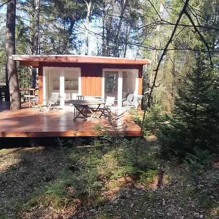 Casa vacanze In The Forest *